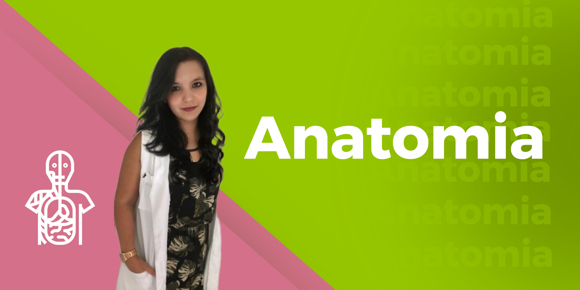 Anatomia